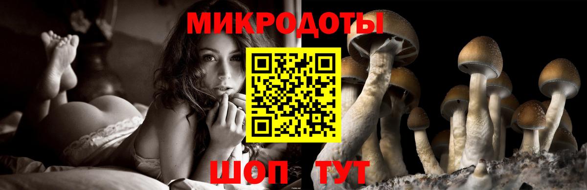что такое наркотик  Галлюциногенные грибы мицелий  Симферополь  Вход с VPN  Псилоцибиновые грибы прущие грибы 